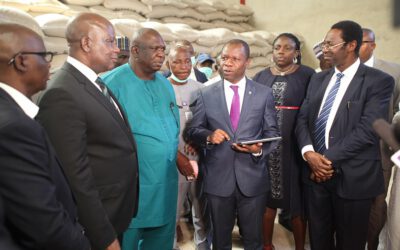 NIRSAL FACILITATES N6BILLION FERTILIZER AND GRAIN INVESTMENTS BY STANBIC IBTC BANK IN KADUNA