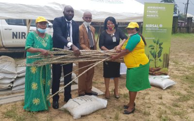 ABP: NIRSAL EMPOWERS 475 FEMALE CASSAVA FARMERS IN UYO