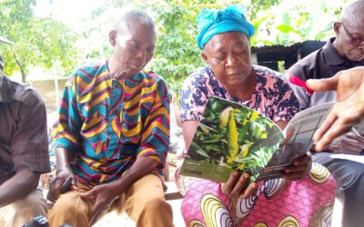 NIRSAL SBSS: Spurring Organic Economic Growth Through Training and Mentorship in the Agric Sector